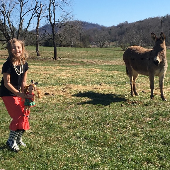 Meet your Posher, Jada - Picture 5 of 8